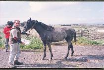 ��ȯ�� (TAEHWANYEONG) ����