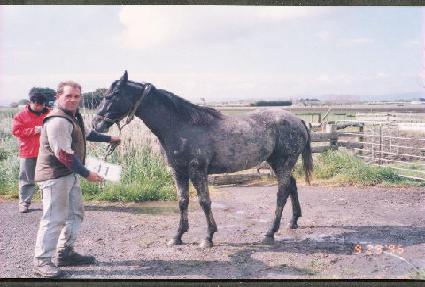 ��ȯ�� ����