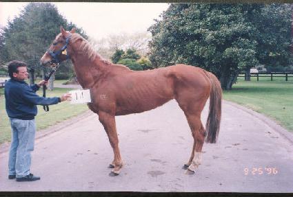 ���ͼ� ����