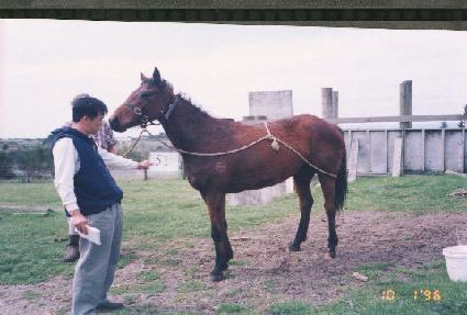 ��� ����