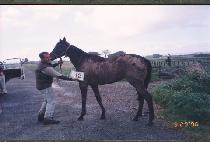 ���ΰ� (CHUINGONG) ����