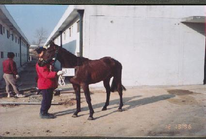 �Ӵ� ����