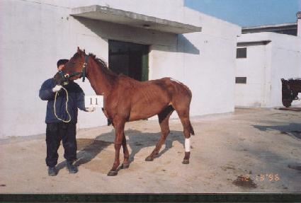 ĳ���� ����