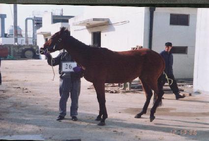 �����ö�� ����