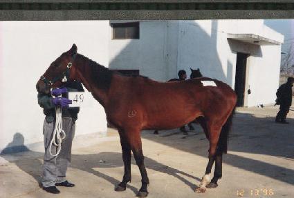 �Ͱ��Ͱ� ����