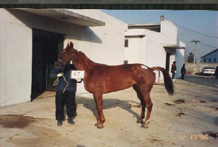 ���� ����