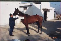 ū��ġ (K��EUNJANCH��I) ����