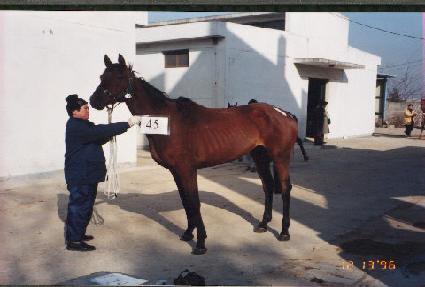 ū��ġ ����