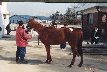 ���� (CH��UKCHI) ����