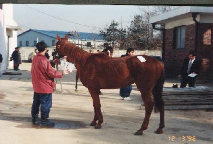 ���� ����