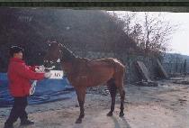 ���� (YEONGMOK) ����