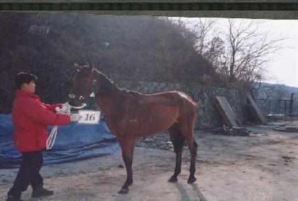 ���� ����