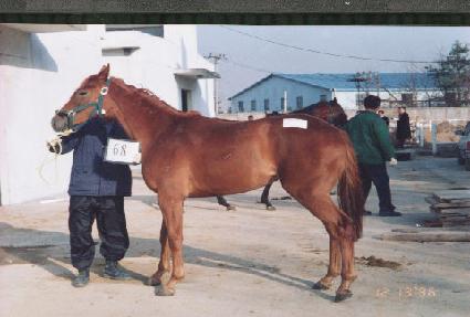 �ݻ�� ����