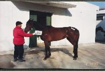 �������� (GO FOR ONE) ����