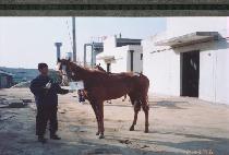 ī���� (KATUMBA) ����