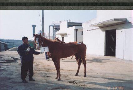 ī���� ����