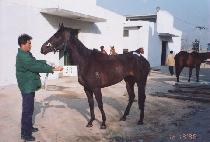 ���� (SEONGYA) ����