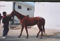 ���̳�����Ʈ (DYNAMITE) ����