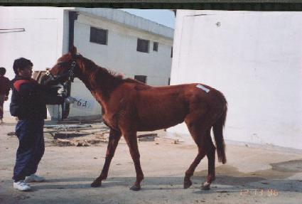 ���̳�����Ʈ ����