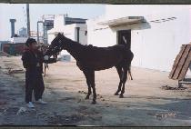 �¾��̵�� (GOOD IDEA) ����