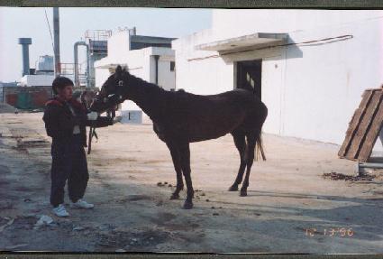 �¾��̵�� ����