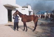 �������� (EMPRESS) ����