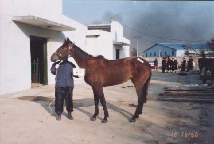 �������� ����