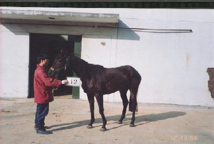 �������� ����