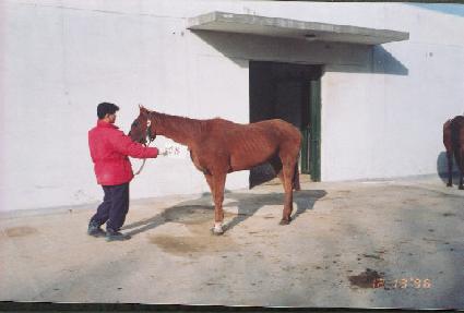 ���� ����