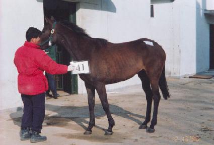 �ſ� ����