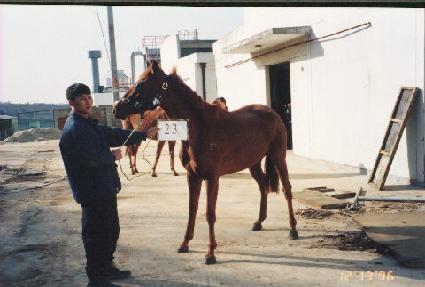 õ�� ����