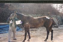 ����ٴ� (SANGWABADA) ����