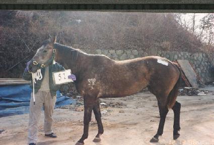 ����ٴ� ����