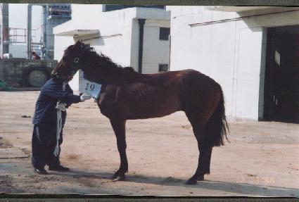 ī���� ����