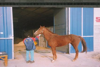 ���õ ����