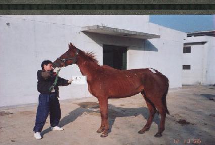 ����� ����