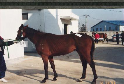 ������� ����