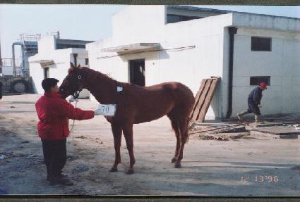 ����� ����