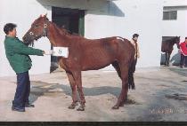 �뺸 (TAEBO) ����