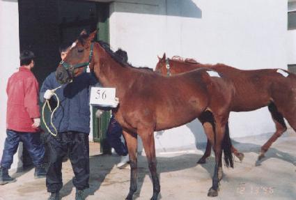 �ð��� ����