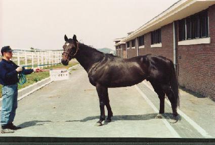 ����Ʈ�� ����