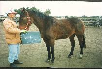 ��庥Ʈ (NORD VENTE) ����