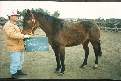 ��庥Ʈ ����