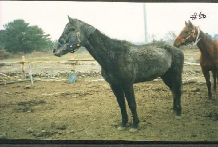 ������������ǽ� ����