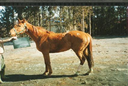 ��ũ���÷��� ����