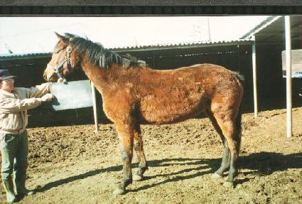 �Ѷ߹������� ����