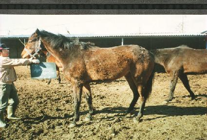 ������Դ� ����