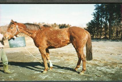 ����ư��ũ ����