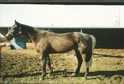 ���κ�����ҵ� ����