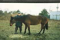 ���������� (LINDA��S JOY) ����